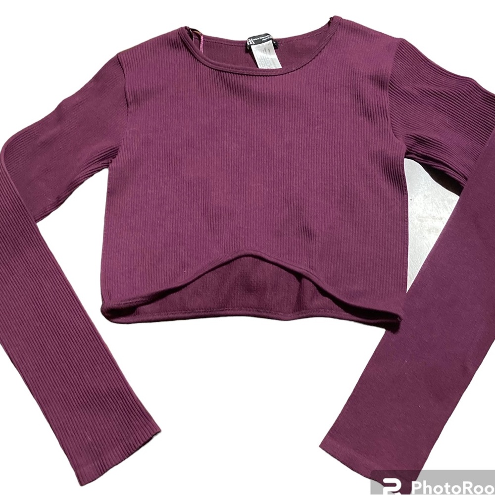 Zara Women's Top‎ M Purple Nylon with Elastane Long Sleeve Round Neck Cropped